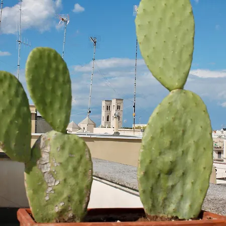 La Torretta - Palazzina Indipendente Con Terrazza - * Molfetta
